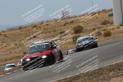 media/May-03-2025-Lucky Dog Racing (Sat) [[206de64b9d]]/Turn 6 (150pm-230pm)/